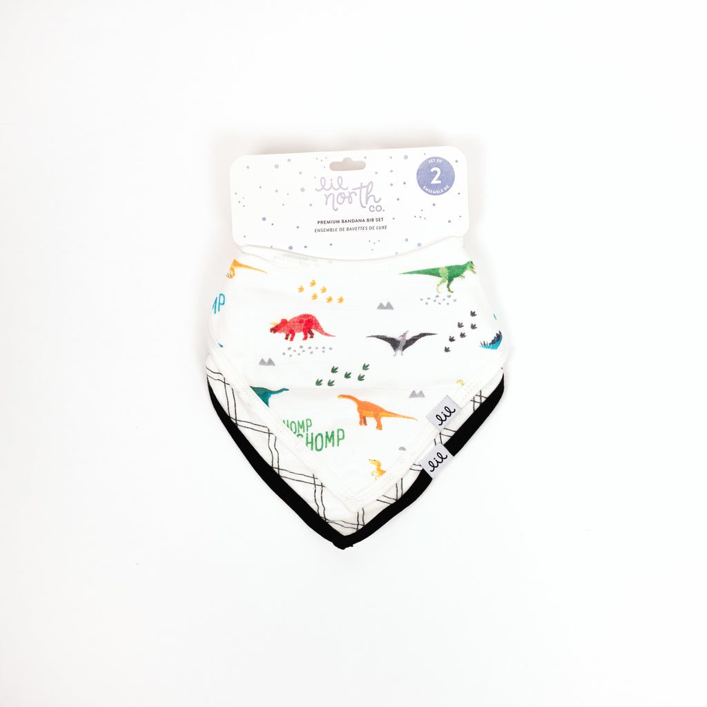 Perfectly packaged set of two bandana bibs includes a bright dino print with fun words like stomp and rawr and a black and white grid with black trim bib